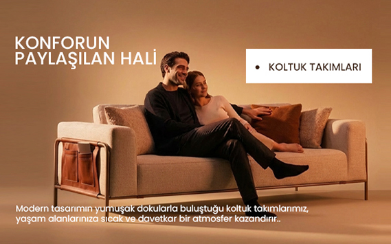 Koltuk Takımları